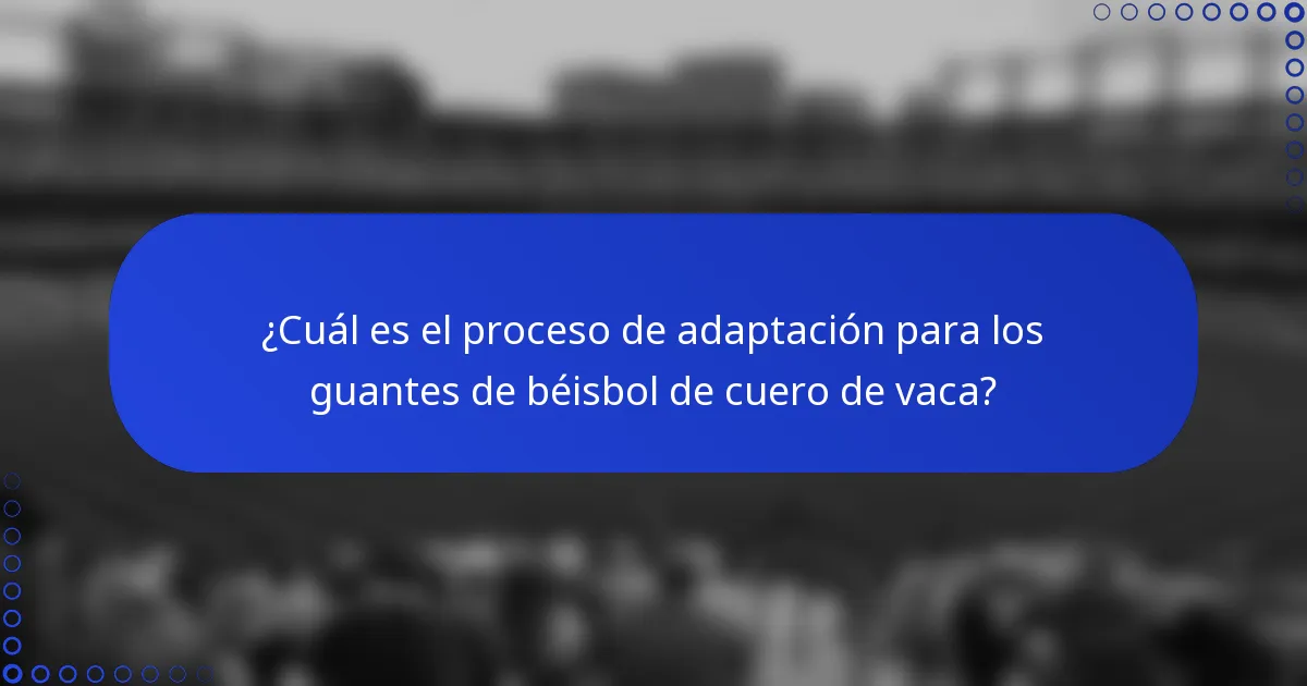 ¿Cuál es el proceso de adaptación para los guantes de béisbol de cuero de vaca?